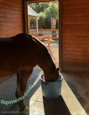 allieadams / theallieadams nude photo #0109