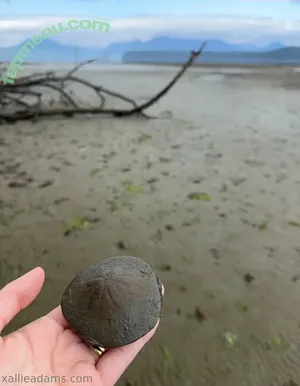 allieadams / theallieadams nude photo #0114