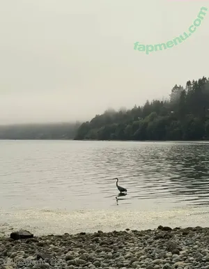 allieadams / theallieadams nude photo #0117