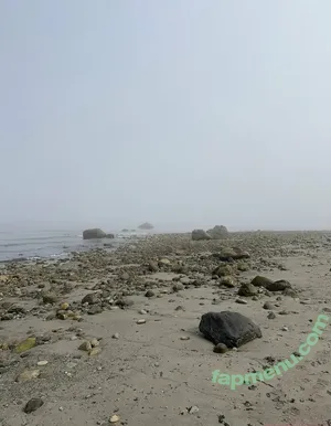 allieadams / theallieadams nude photo #0121