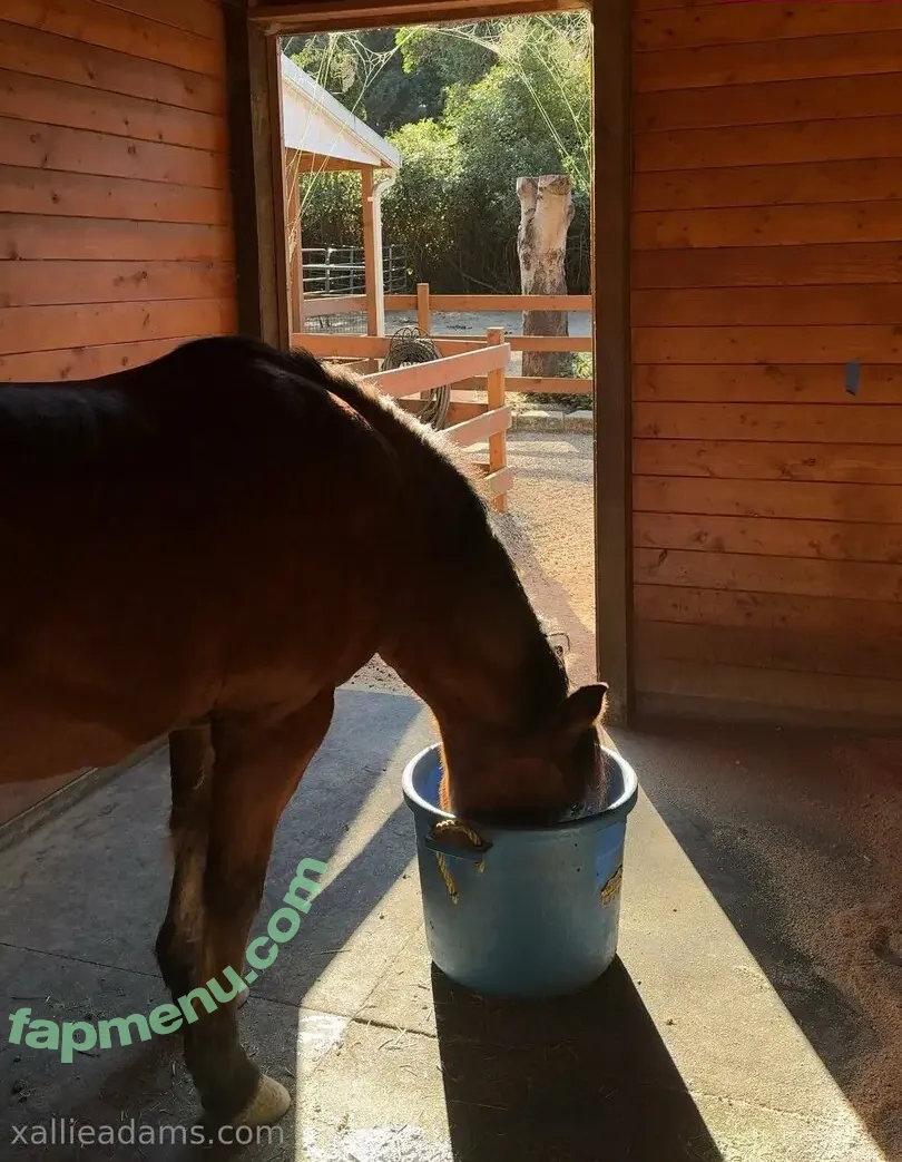 allieadams nude photo #0109 (theallieadams)