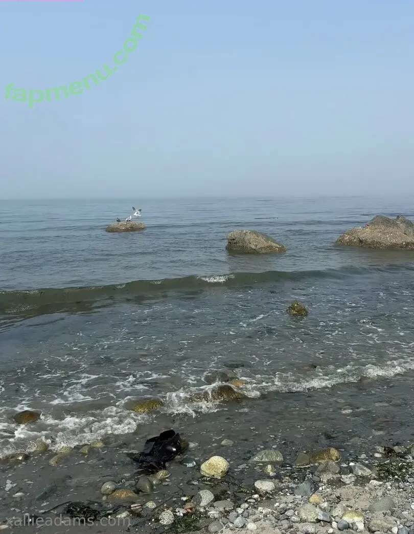 allieadams nude photo #0111 (theallieadams)