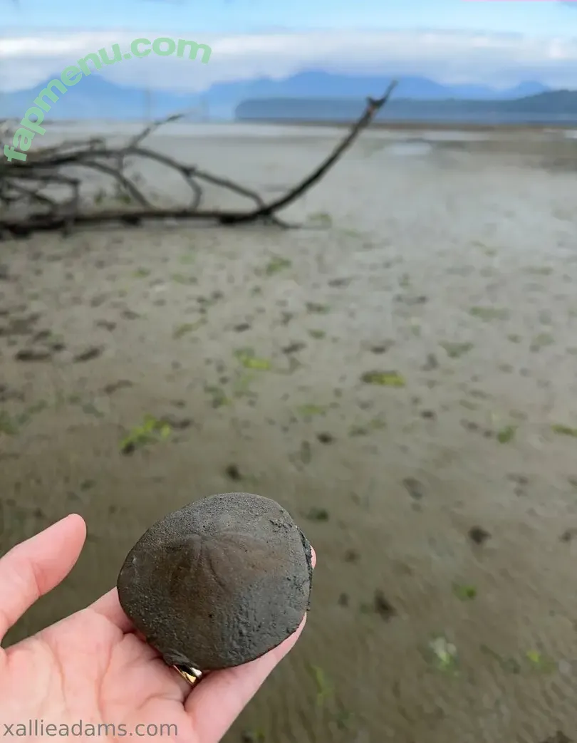 allieadams nude photo #0114 (theallieadams)