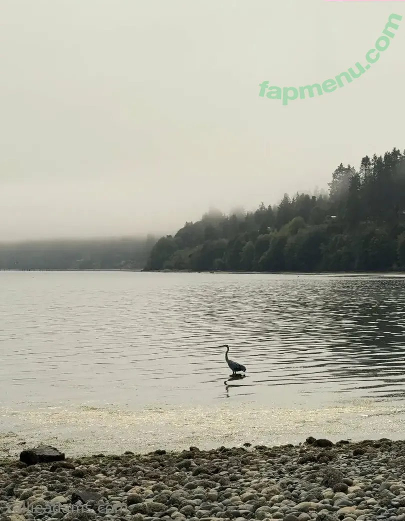 allieadams nude photo #0117 (theallieadams)