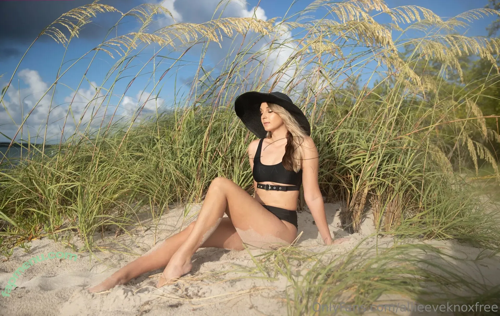 allieeveknoxfree nude photo #0016 (allieeveland)