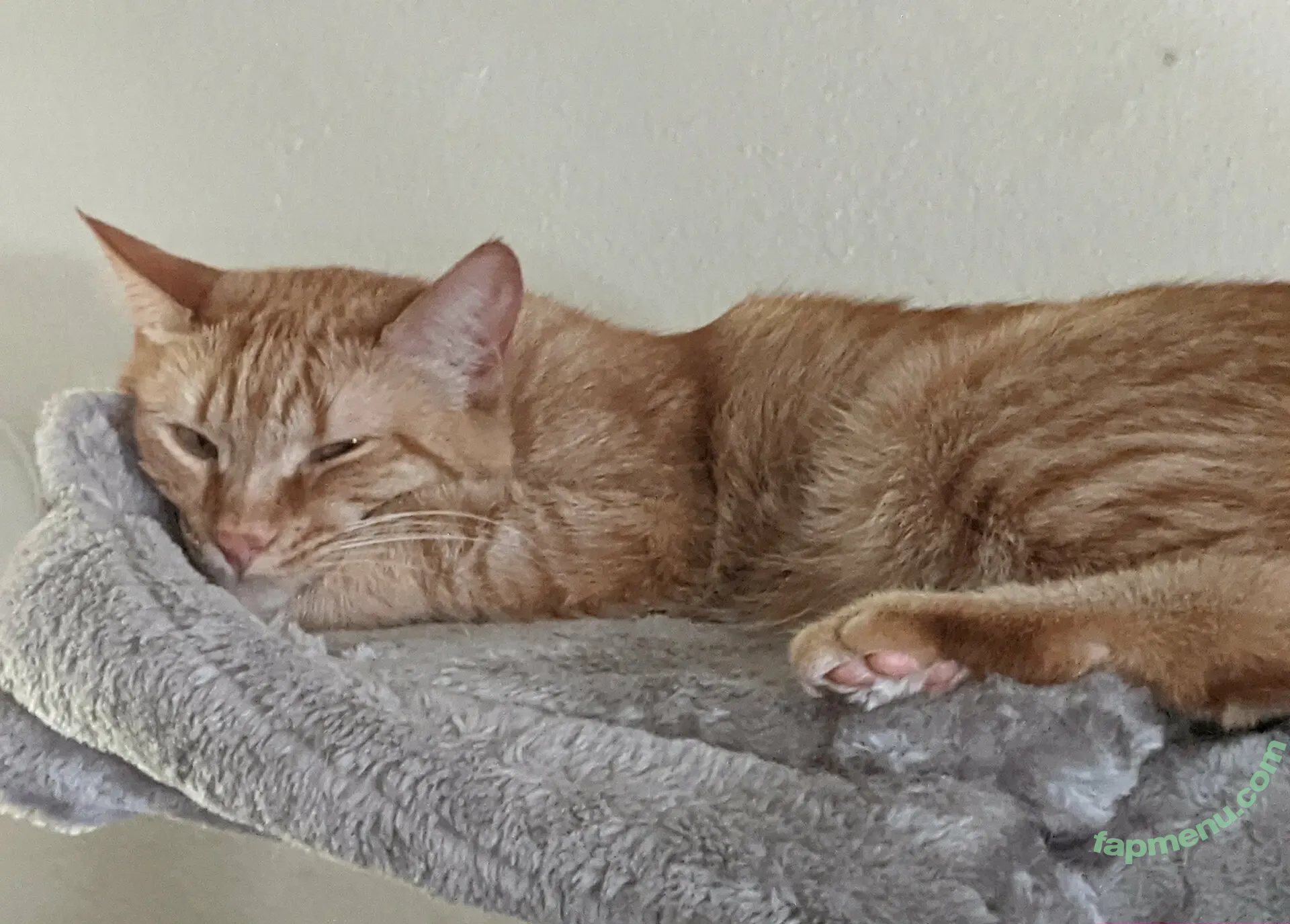 allycakes_12 nude photo #0001 (allycakes_12)