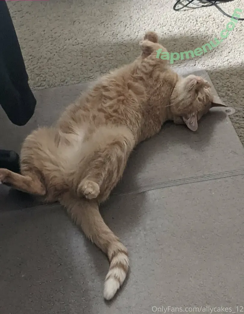 allycakes_12 nude photo #0003 (allycakes_12)