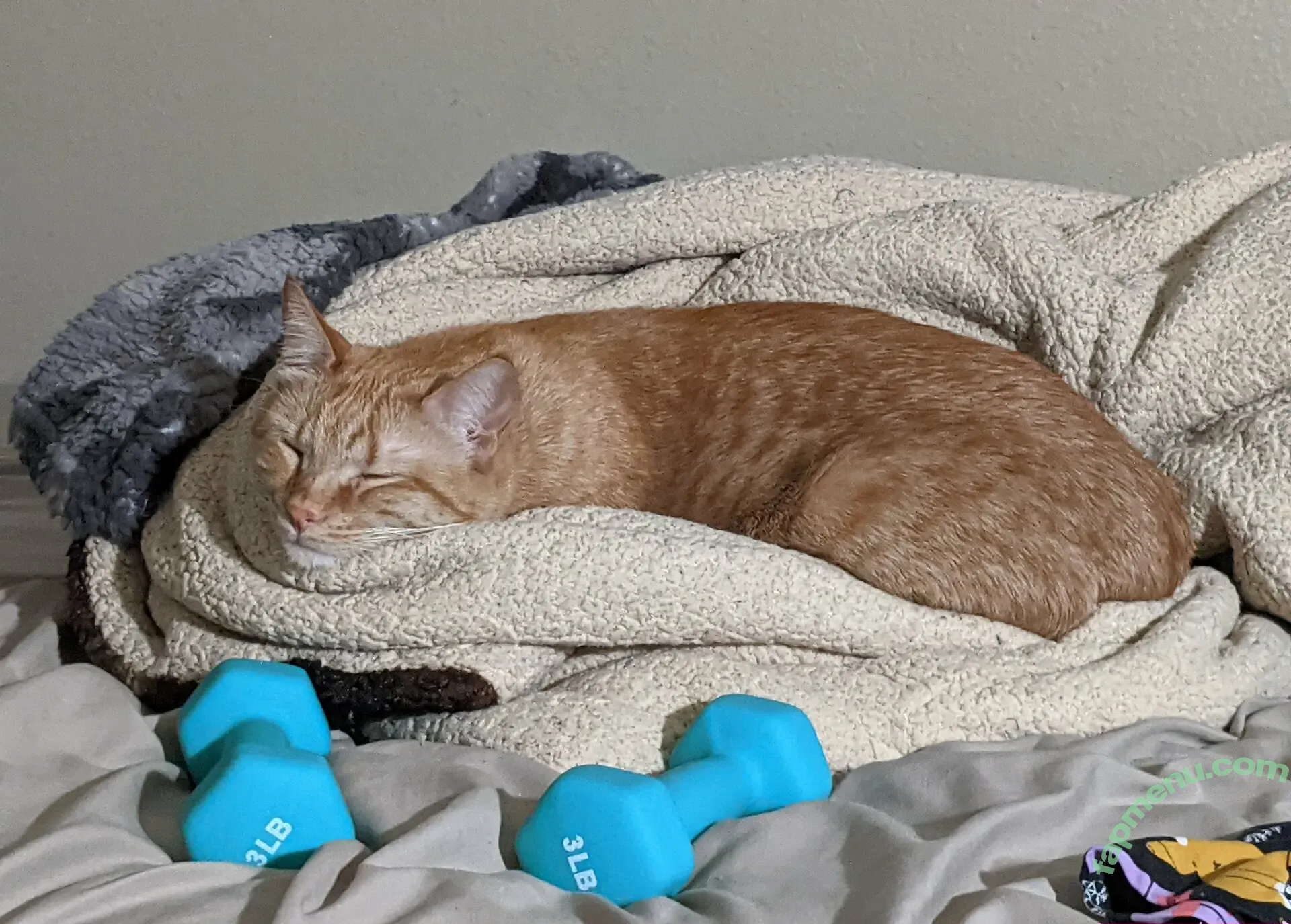 allycakes_12 nude photo #0006 (allycakes_12)