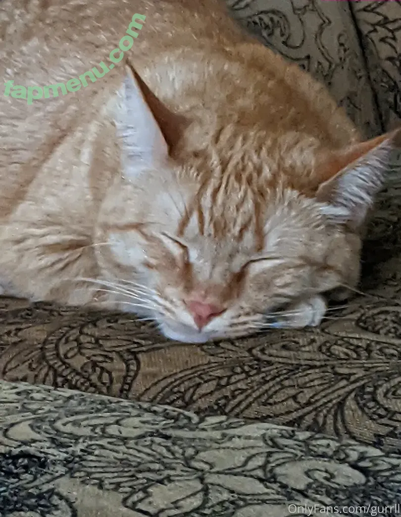 allycakes_12 nude photo #0007 (allycakes_12)