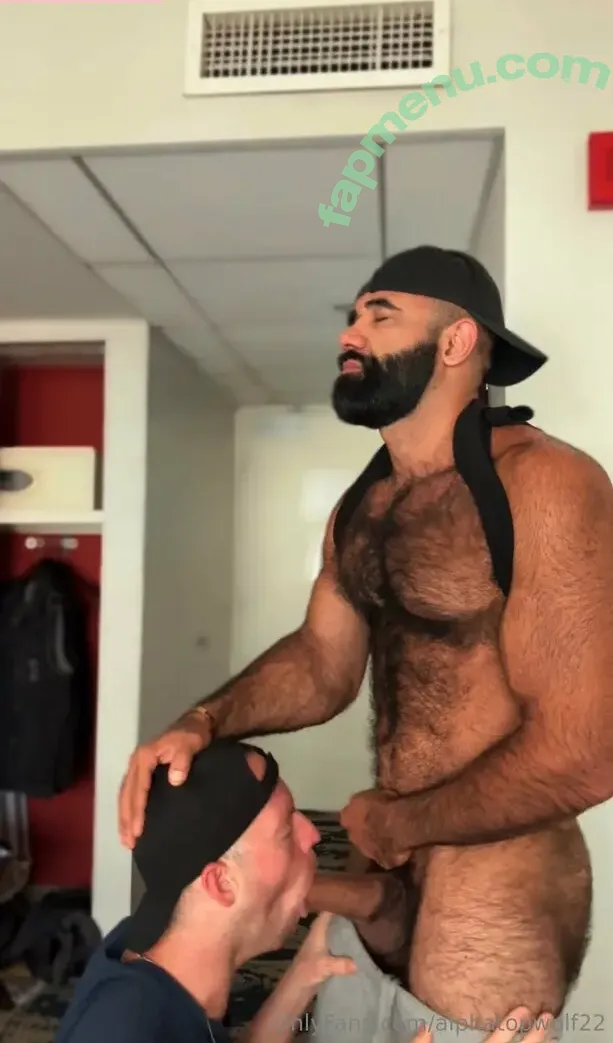 alphatopwolf22 nude photo #0221 (alphawolfcvlt)