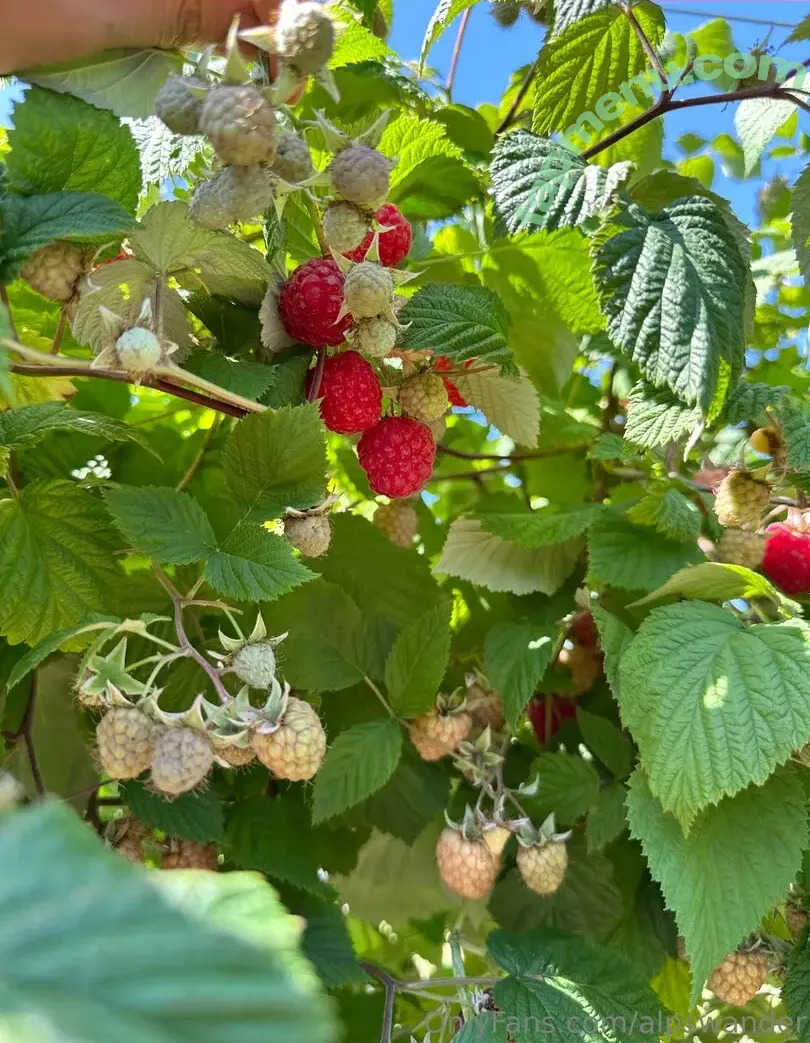 Alpswander nude photo #0096 (karolislipinas)