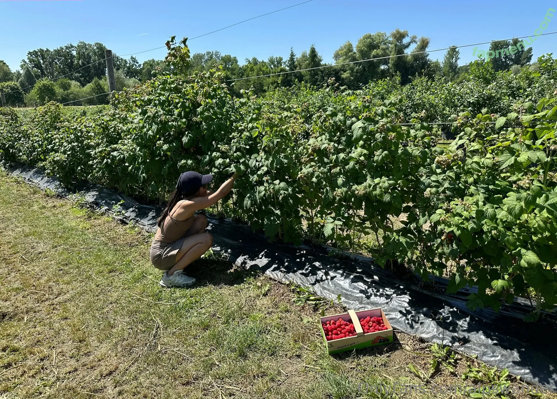 Alpswander nude photo #0097 (karolislipinas)