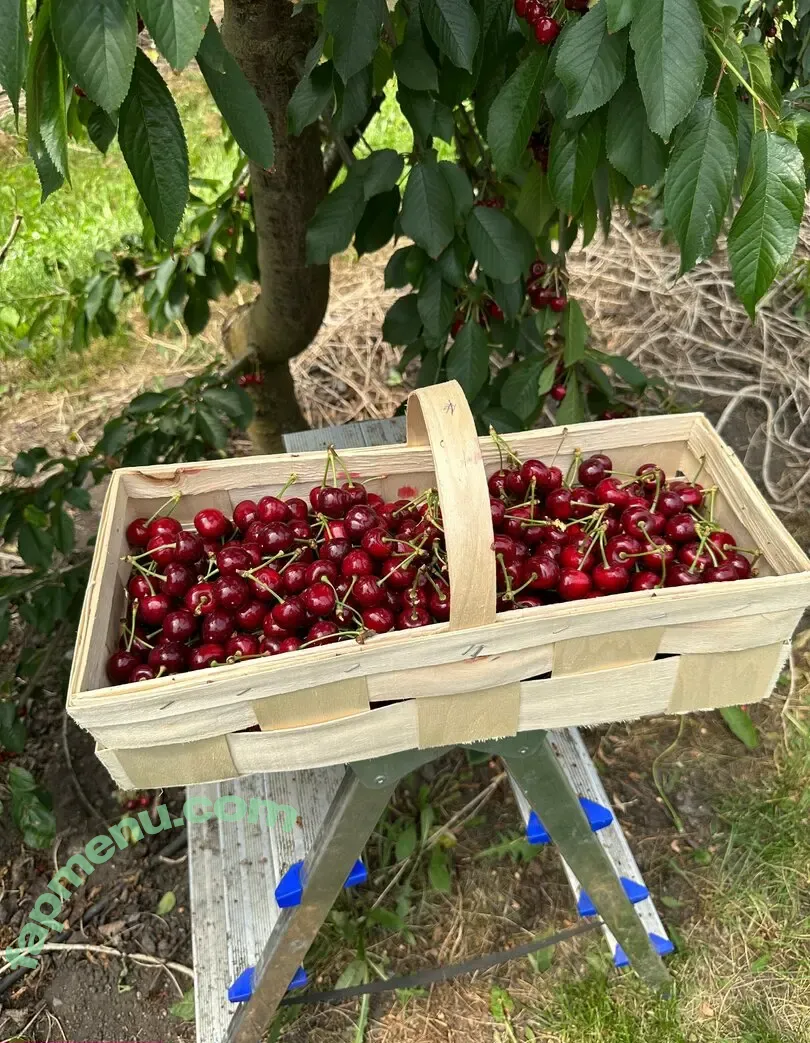 Alpswander nude photo #0098 (karolislipinas)