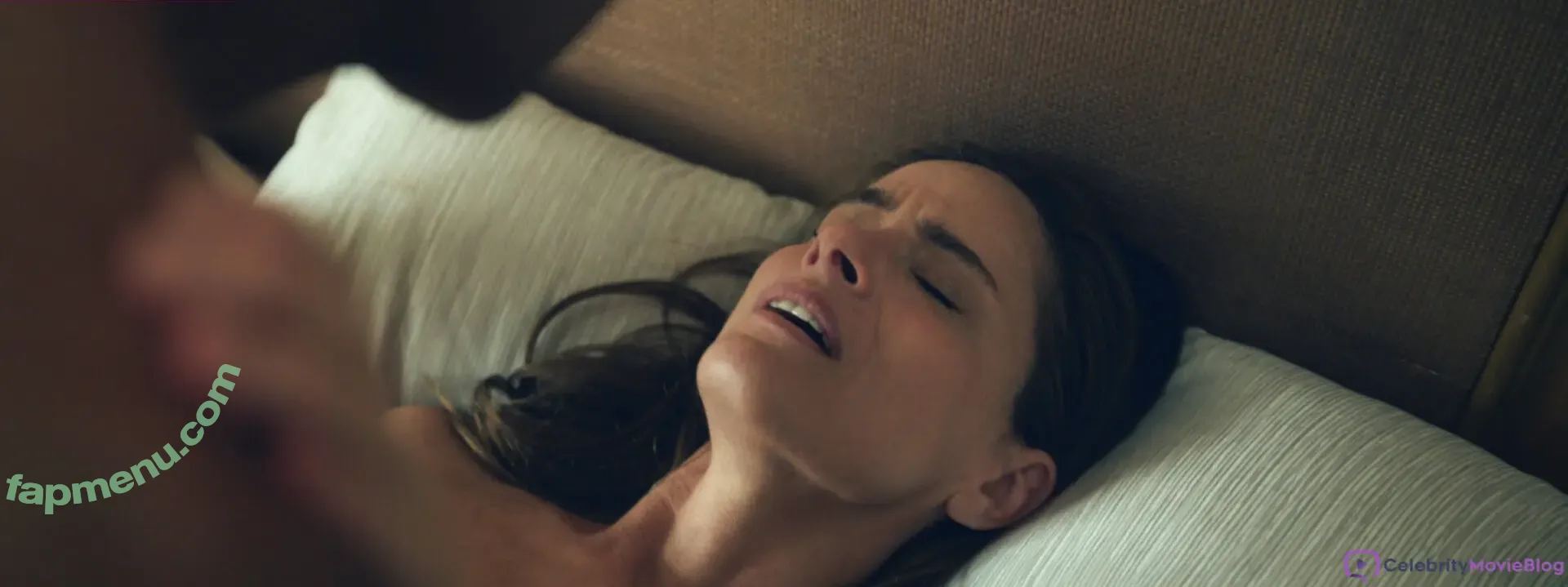 Amanda Peet nude photo #0048 (amanda.peet)