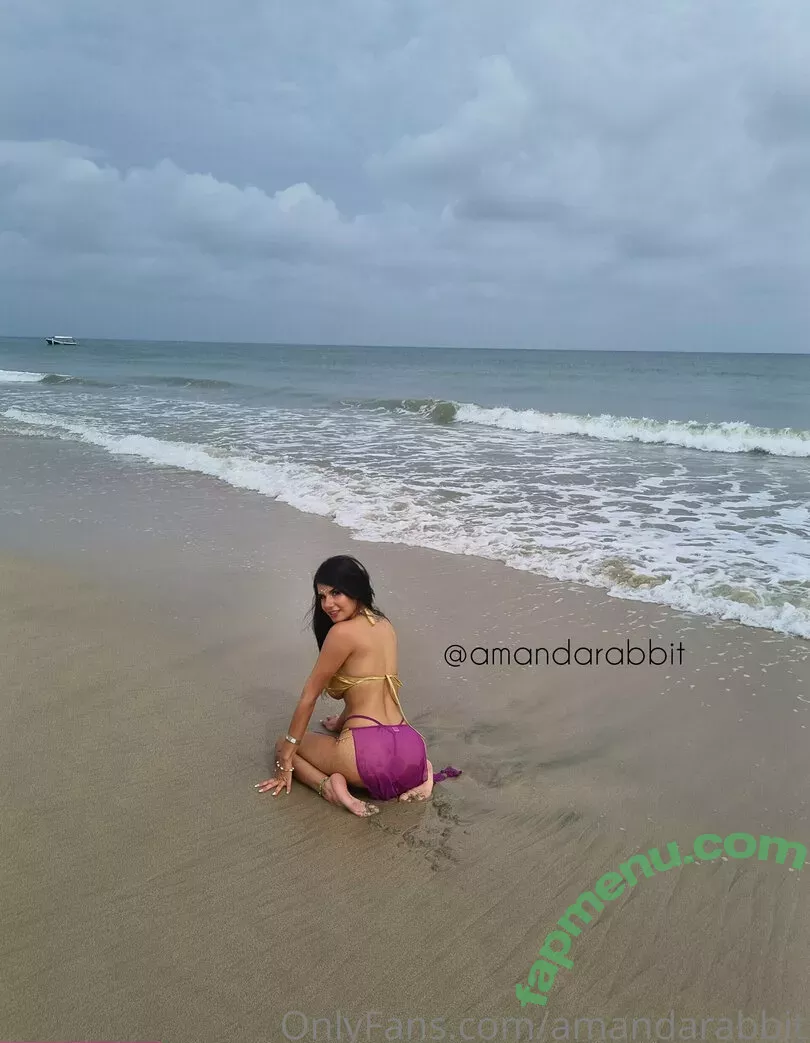 Amanda Rabbit nude photo #0041 (Venezolana / amandarabbit / amandarabbit1 / amandatherabbit)