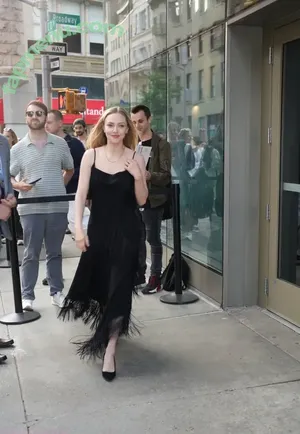 Amanda Seyfried / AmandaSeyfried / mingey nude photo #0767