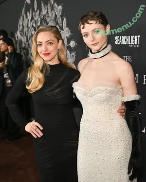 Amanda Seyfried / AmandaSeyfried / mingey nude photo #1179