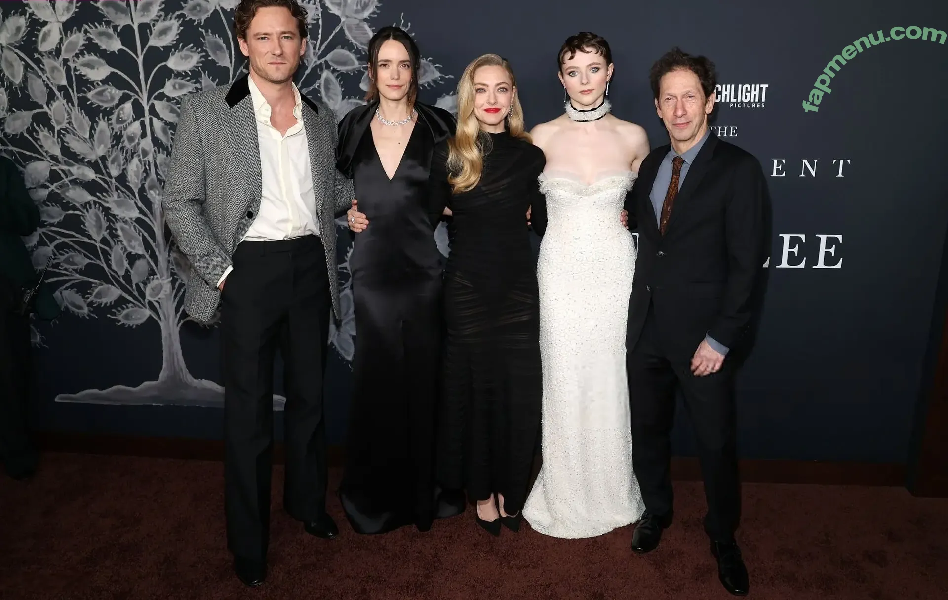 Amanda Seyfried nude photo #1180 (AmandaSeyfried / mingey)