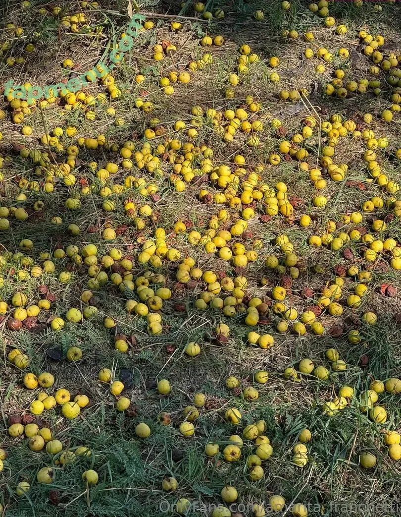 amarita_franchetti nude photo #0107 (amarita_franchetti)