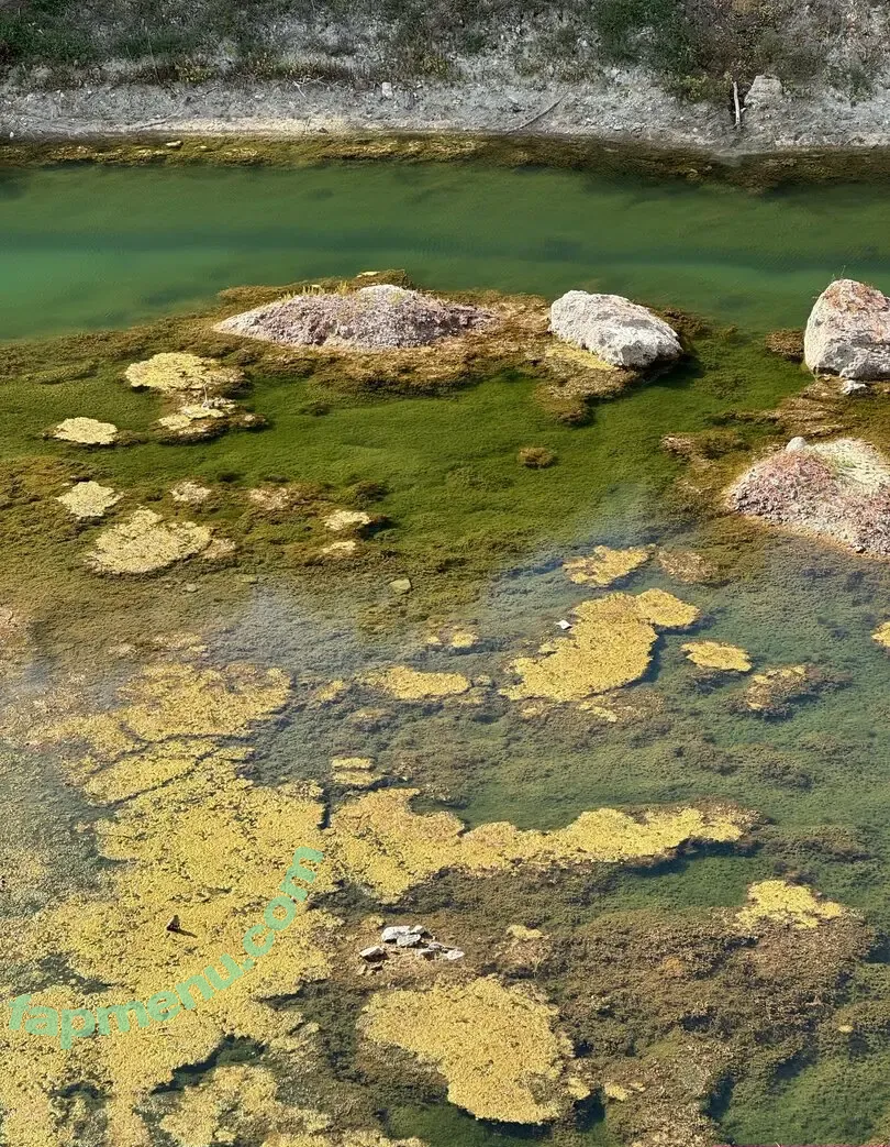 amarita_franchetti nude photo #0119 (amarita_franchetti)