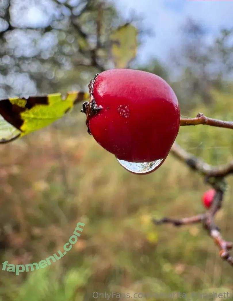 amarita_franchetti nude photo #0140 (amarita_franchetti)