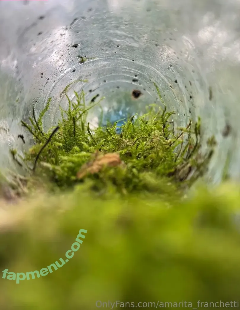 amarita_franchetti nude photo #0141 (amarita_franchetti)