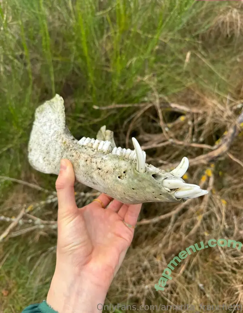 amarita_franchetti nude photo #0142 (amarita_franchetti)