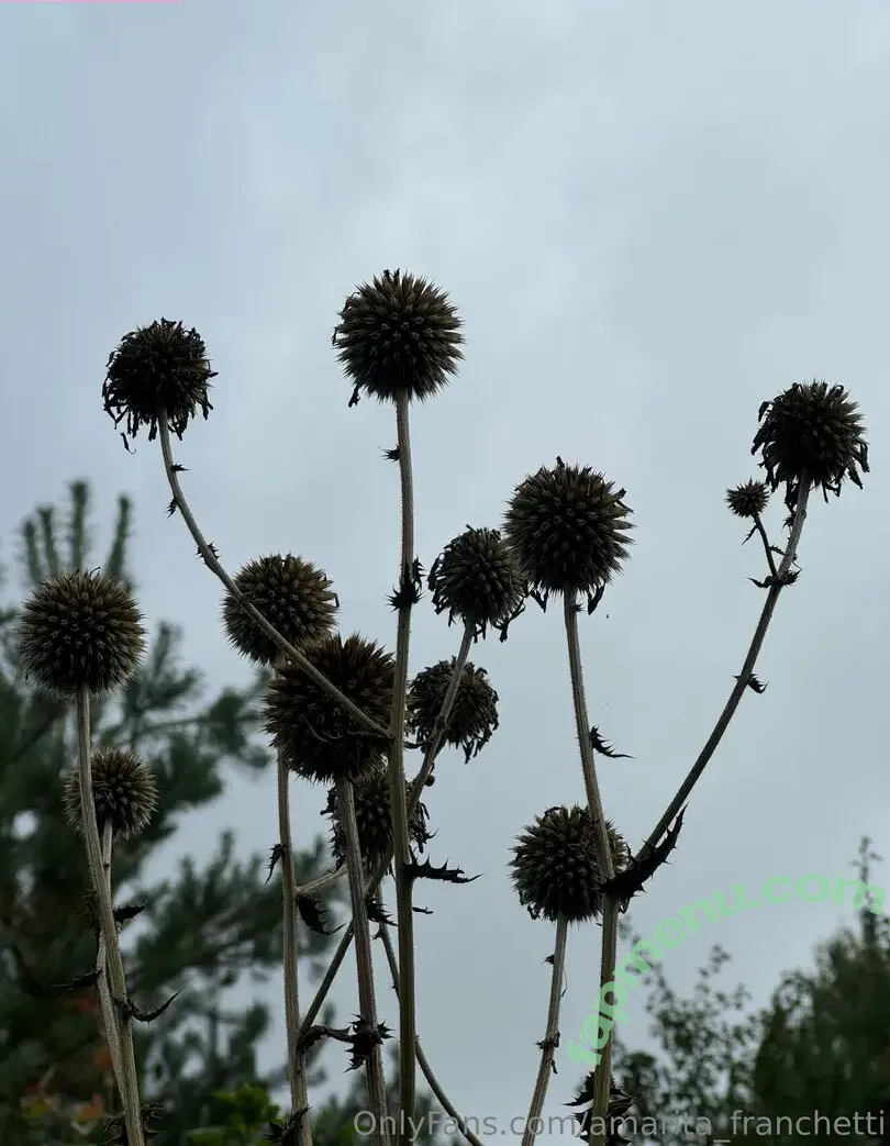 amarita_franchetti nude photo #0144 (amarita_franchetti)