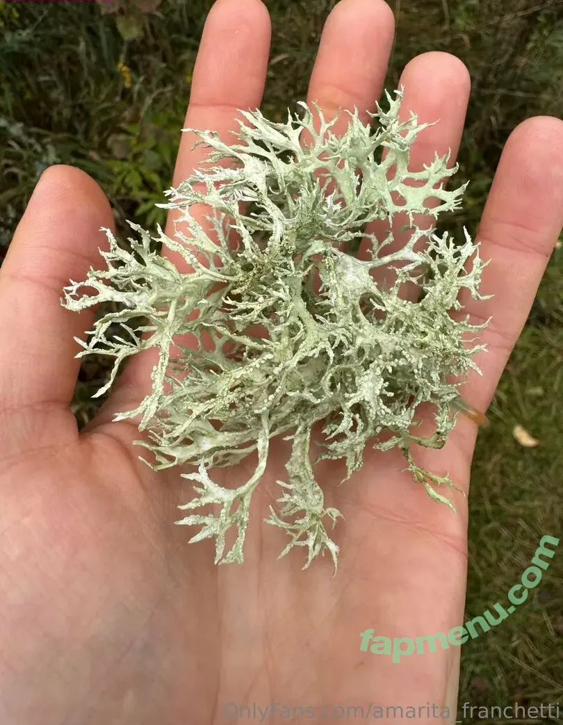 amarita_franchetti nude photo #0146 (amarita_franchetti)