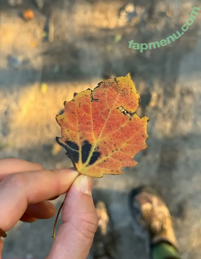 amarita_franchetti nude photo #0167 (amarita_franchetti)