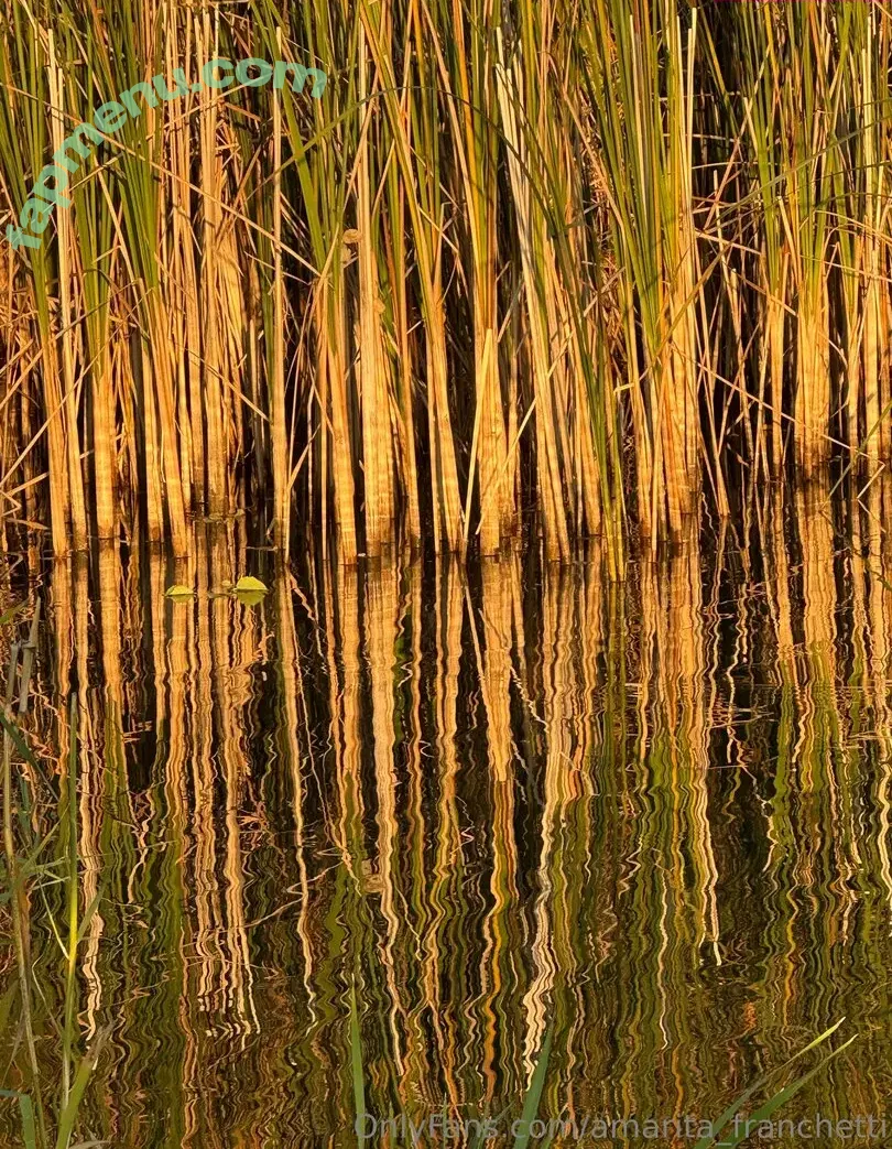 amarita_franchetti nude photo #0170 (amarita_franchetti)