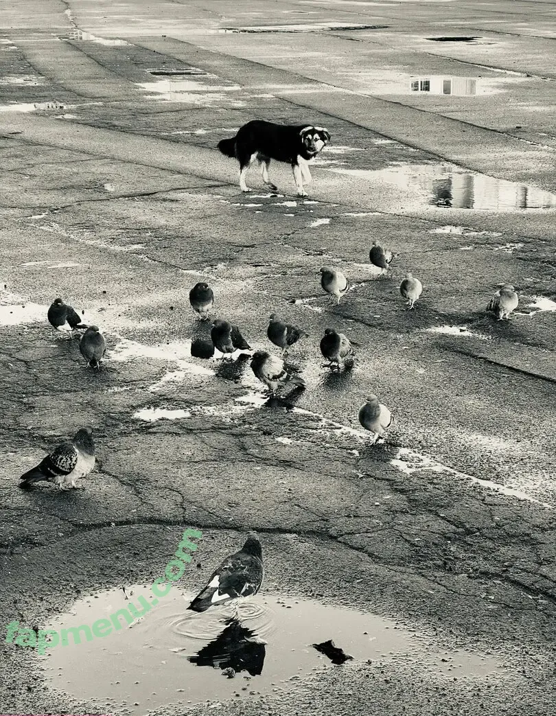 amarita_franchetti nude photo #0175 (amarita_franchetti)