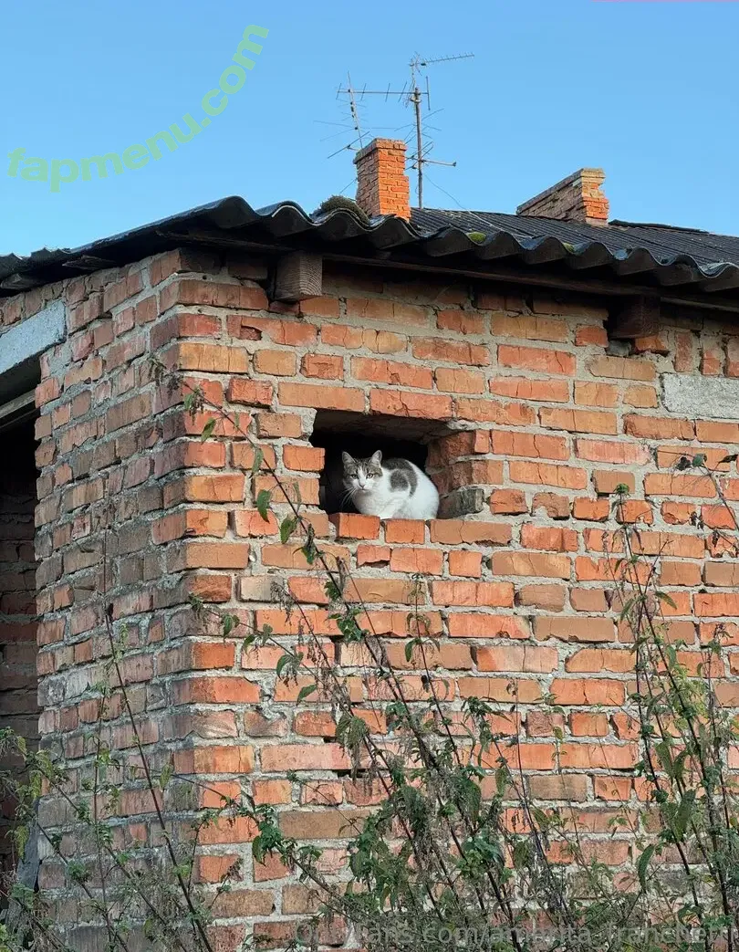 amarita_franchetti nude photo #0182 (amarita_franchetti)