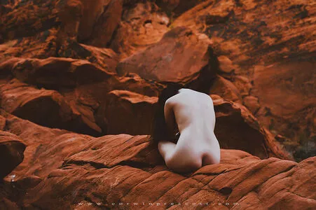 Amber Rose / McConnell / amberrose / darealamberrose nude photo #0183