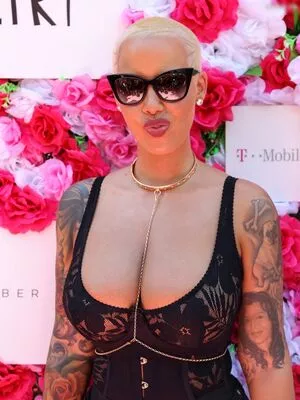 Amber Rose / McConnell / amberrose / amberrose69 / darealamberrose nude photo #0311