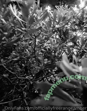 Amber Smith / freerangeamber / officallyfreerangeamber / officiallyfreerangeamber nude photo #0038