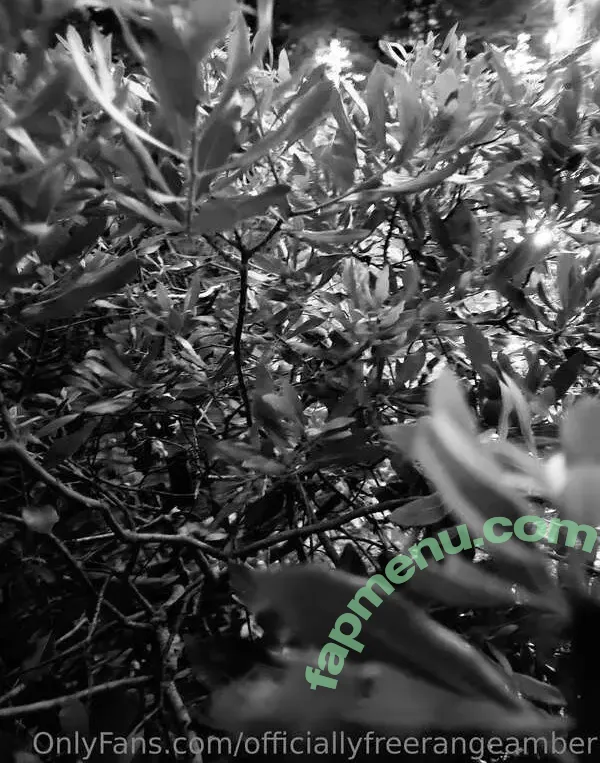 Amber Smith nude photo #0038 (freerangeamber / officallyfreerangeamber / officiallyfreerangeamber)