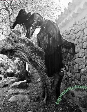 Amelia Gray Hamlin / AmeliaGHamlin / ameliagray nude photo #0383