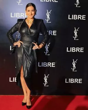 Amina Khalil / aminakhalilofficial nude photo #0097