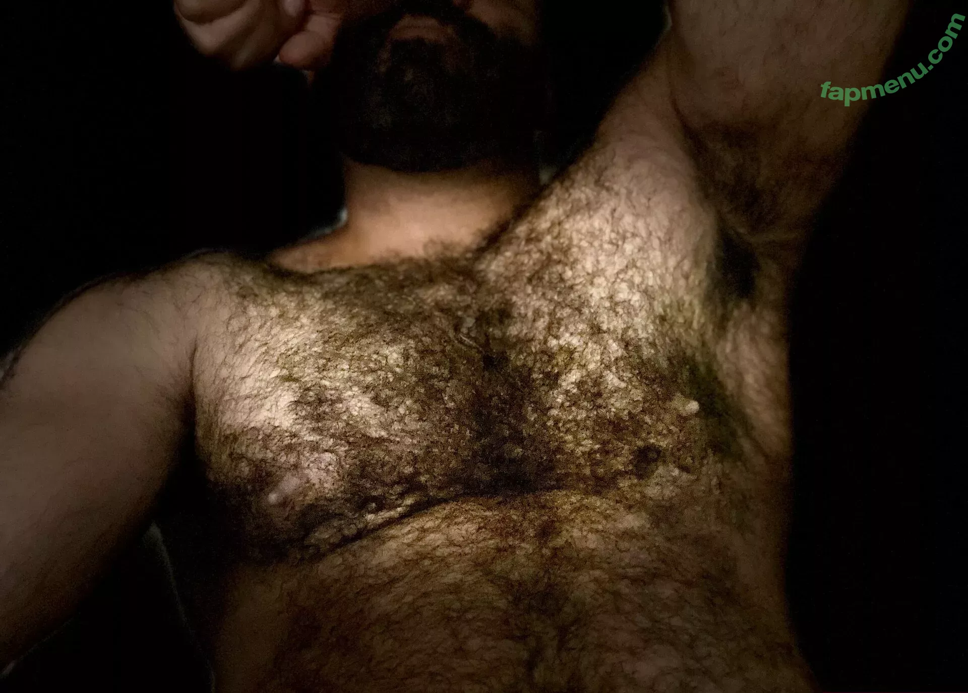 amir_hairyalpha nude photo #0039 (i_amtherealm_ed)