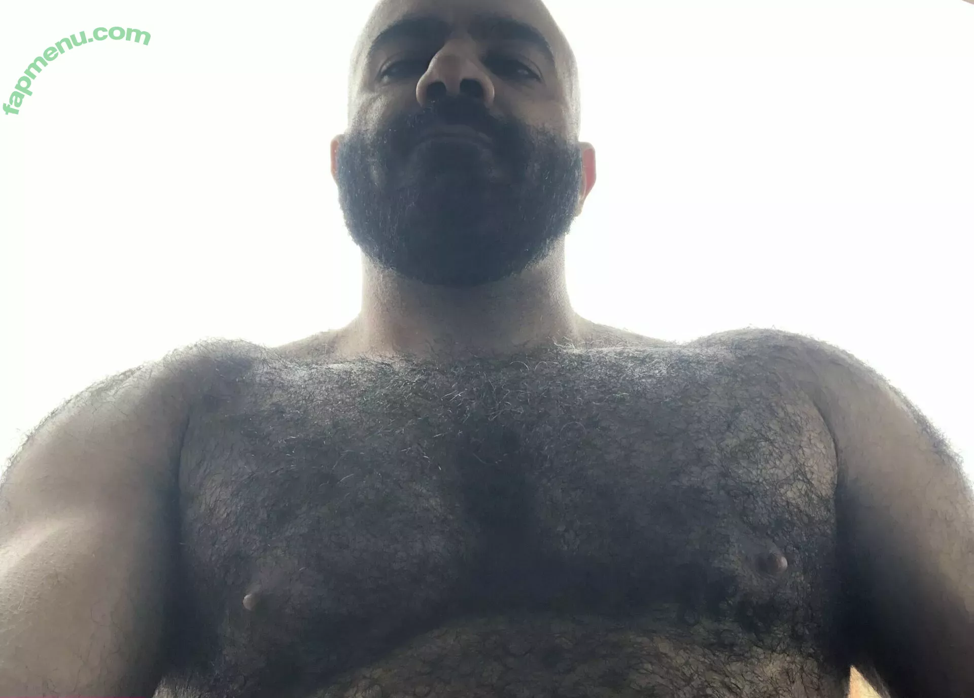 amir_hairyalpha nude photo #0052 (i_amtherealm_ed)