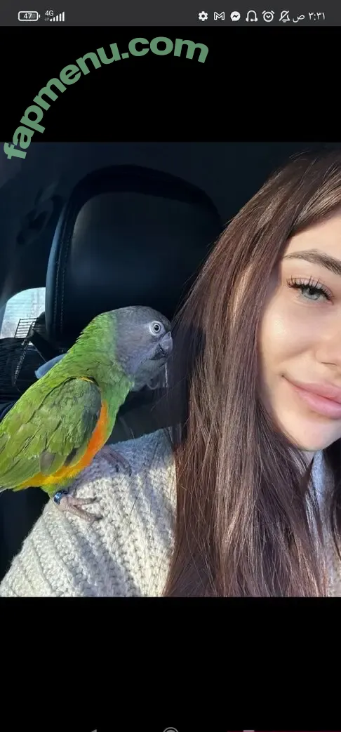 AmoreKiwik nude photo #0033 (Sweety-kate / finikk)