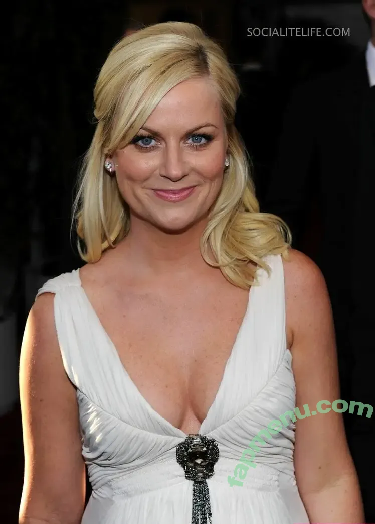 Amy Poehler nude photo #0015 (amypohler)