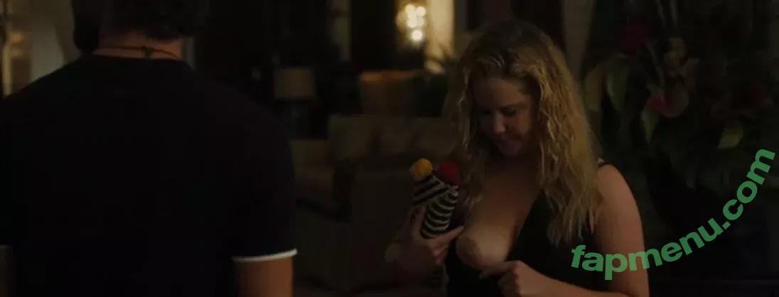 Amy Schumer nude photo #0003 (amyschumer)