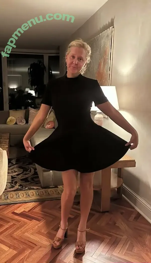 Amy Schumer nude photo #0130 (amyschumer)
