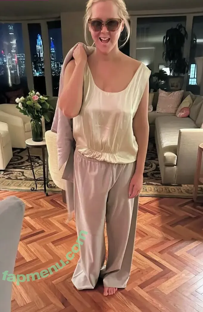 Amy Schumer nude photo #0131 (amyschumer)