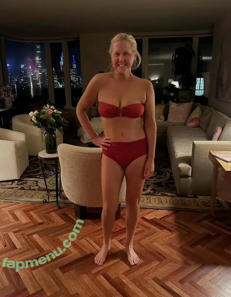 Amy Schumer nude photo #0134 (amyschumer)