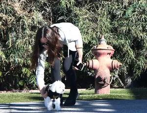 Ana De Armas / ana_d_armas / anadearmas nude photo #1298