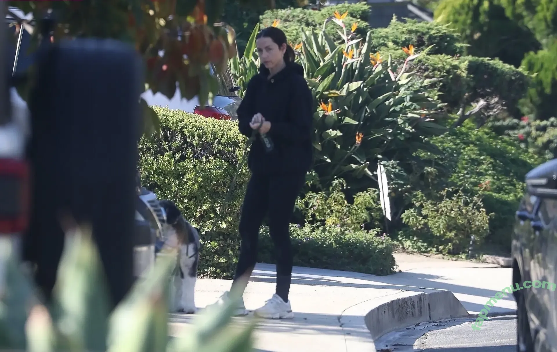 Ana De Armas nude photo #1536 (ana_d_armas / anadearmas / anadearmasdaily)