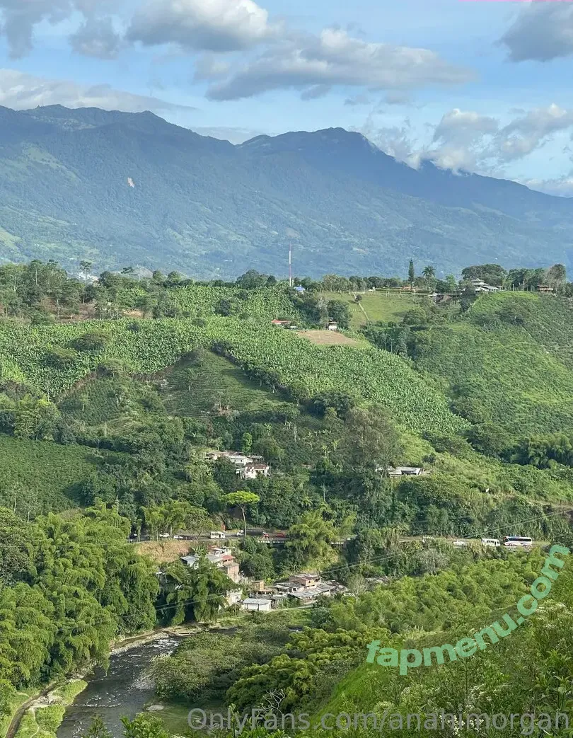 anahimorgan nude photo #0020 (anahimorgan)